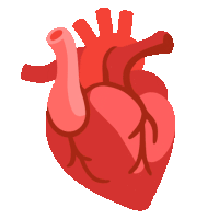 Heartbeat animation